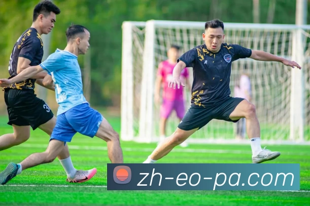 多媒体互动体验