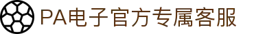 PA电子官网 - 畅玩高品质电子游戏平台
